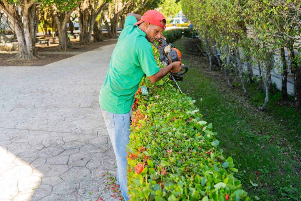 Trabajos de jardinería